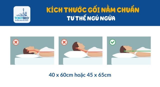 Với người có thói quen ngủ ngửa nên chọn gối nằm có kích thước 40 x 60 cm