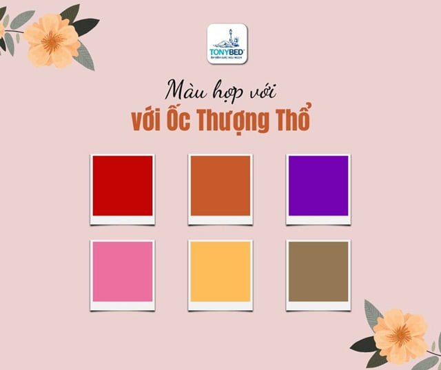 Màu hợp với Ốc Thượng Thổ