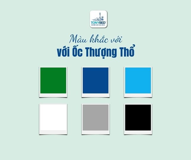 Màu khắc với Ốc Thượng Thổ