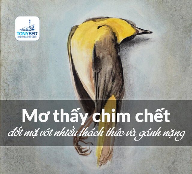 Mơ thấy chim chết