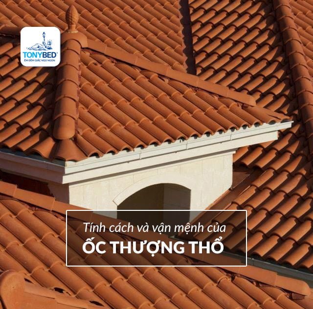 Tính cách vận mệnh Ốc Thượng Thổ