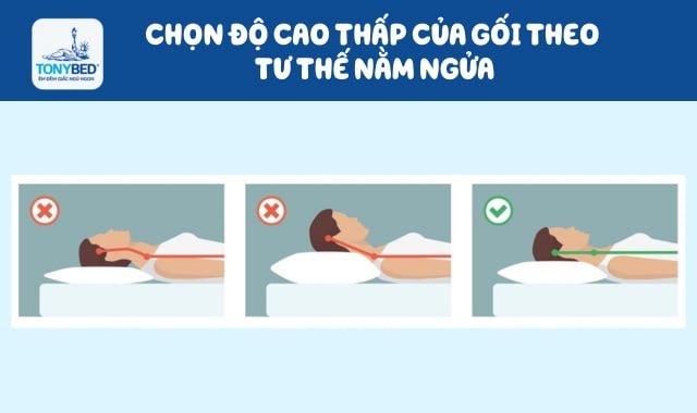 Chọn gối cao hay thấp cho người nằm ngữa