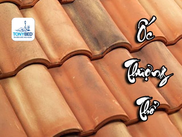 Mệnh ốc thượng thổ