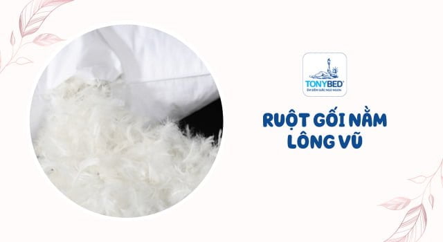 Ruột gối lông vũ
