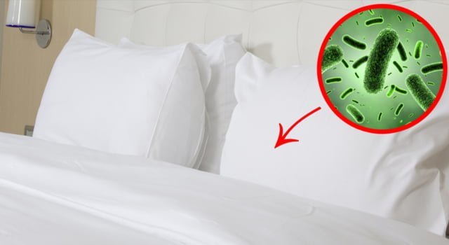 Lý do mà bạn nên thay ga giường thường xuyên là để làm sạch vi khuẩn gây hại cho sức khỏe