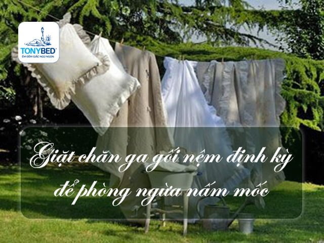 Giặt chăn ga gối định kỳ để tránh bị nấm mốc