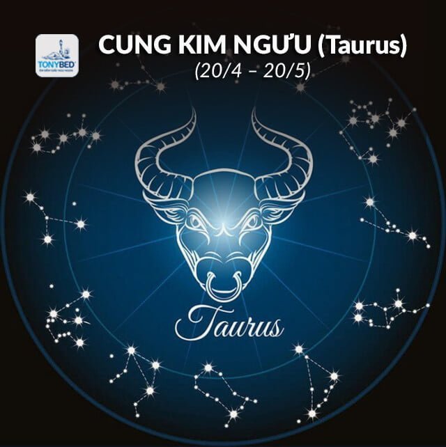 Tính cách cung Kim Ngưu