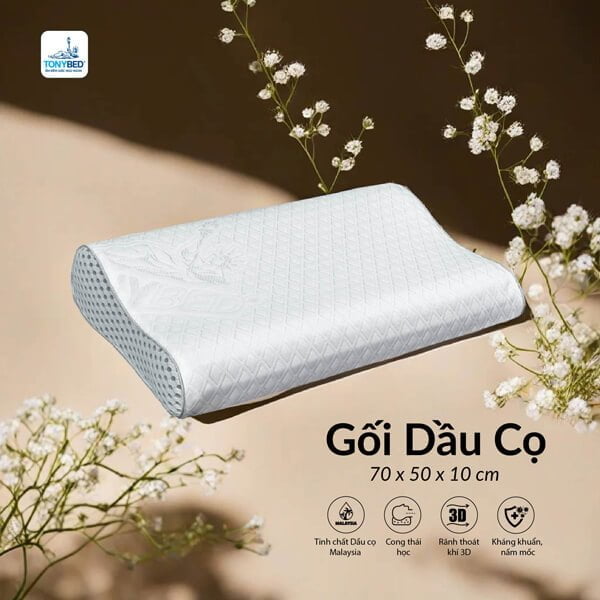 Gối công thái học tinh chất dầu cọ thiên nhiên