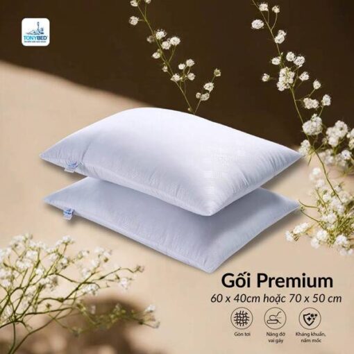 Gối nằm Premium Tonybed