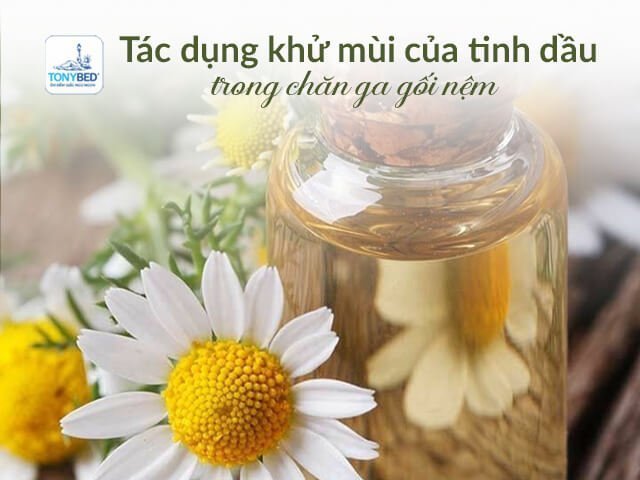 Tác dụng khử mùi trên chăn ga gối nệm của tinh dầu