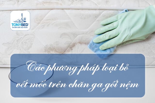 Cách tẩy vết bẩn trên nệm ga giường gối vừa an toàn vừa hiệu quả
