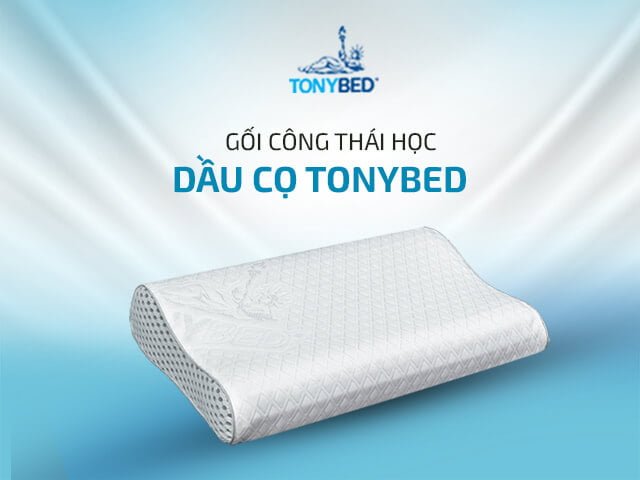 Goi cong thai hoc Dau co doc quyen Tonybed