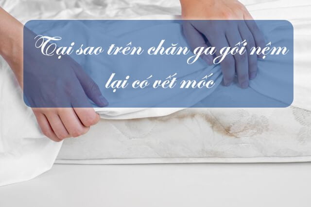 Chăn ga gối nệm bị nấm mốc là do bị ướt và độ ẩm trong phòng quá cáo
