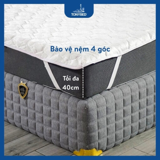 Tấm bảo vệ nệm (6)