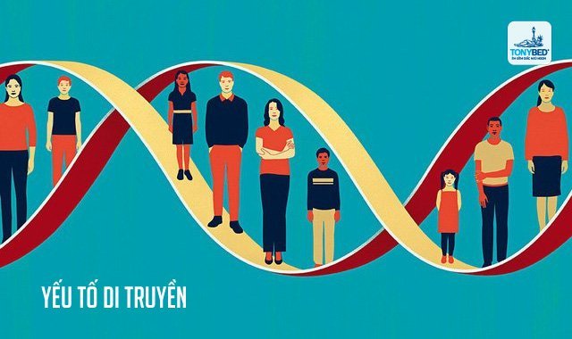Nói mớ trong lúc ngủ có thể do di truyền từ cha mẹ