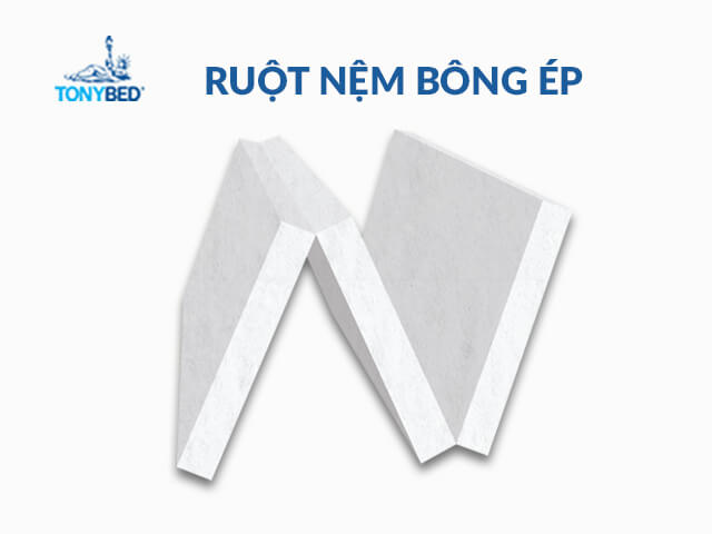 Ruột nệm bông ép
