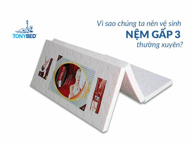 Vệ sinh nệm gấp 3 định kỳ để đảm bảo sức khỏe