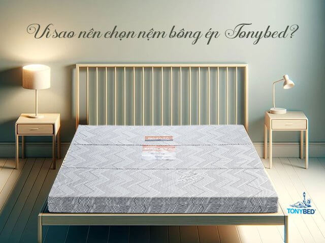 Tonybed là thương hiệu nệm uy tín tại Việt Nam với nhiều dòng sản phẩm nệm bông ép đa dạng