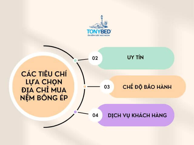 Các tiêu chí giúp bạn chọn được nệm bông ép phù hợp