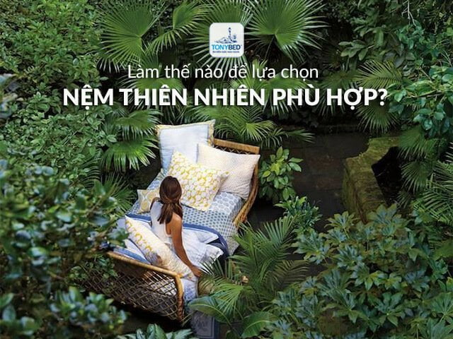 Cách lựa chọn nệm thiên nhiên thế hệ mới phù hợp với nhu cầu