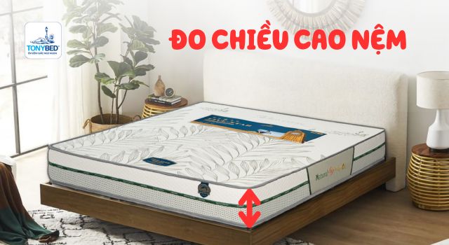 Đo chiều cao nệm