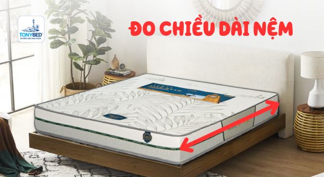 Đo chiều dài nệm
