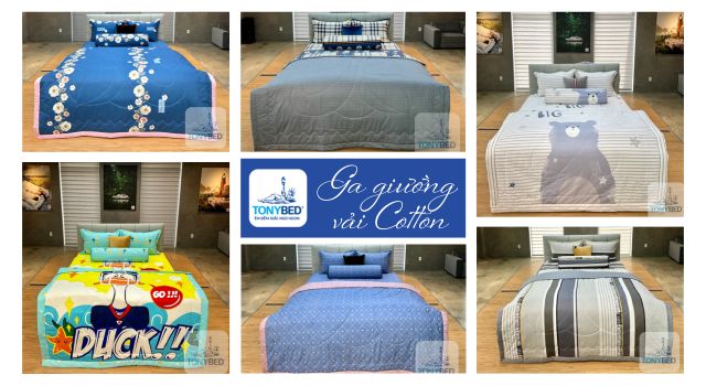 Ga trải giường vải cotton thoáng mát, dễ giặt