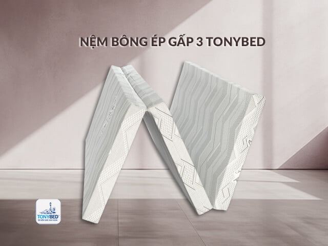 Để chọn được nệm gấp 3 phù hợp bạn nên chú ý đến độ cứng, chất liệu và túi tiền