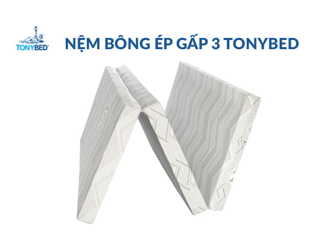 nệm bông ép cao cấp tonybed