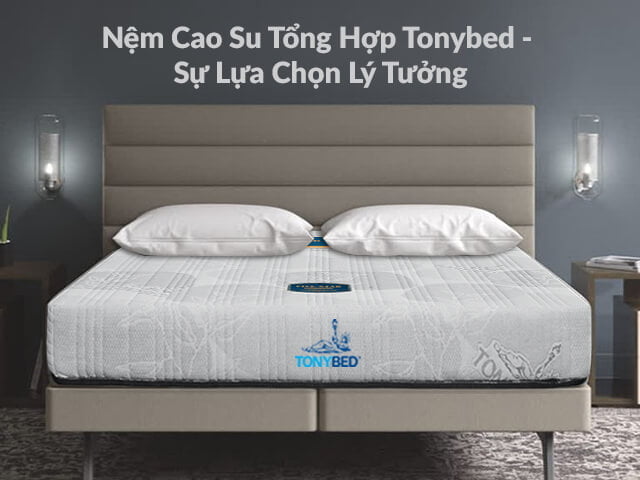 Nệm cao su tổng hợp Tonybed nệm tốt giá mềm