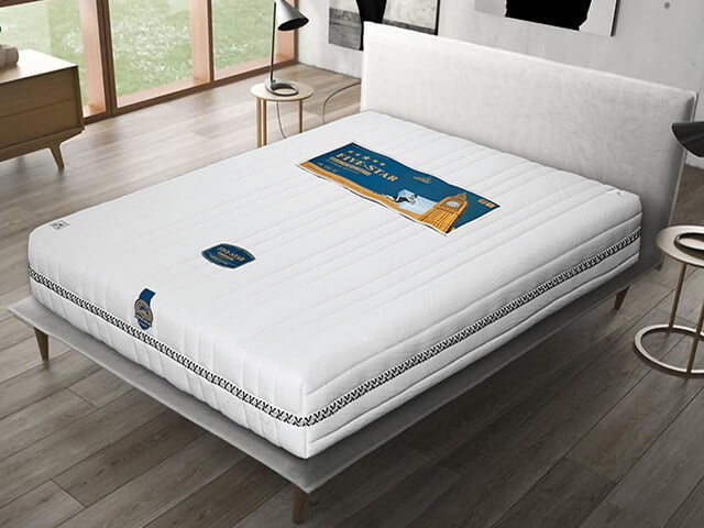 nem lo xo tui tonybed five star
