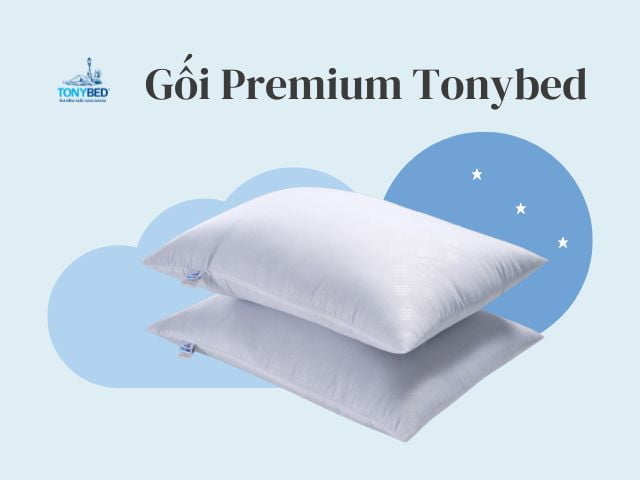 ruot-goi-gon-tonybed