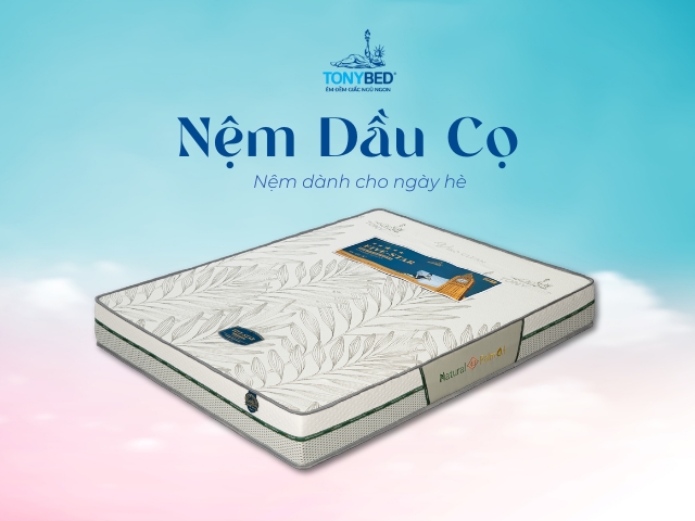 Nem Dau Co Tonybed nem mat cho mua he oi buc