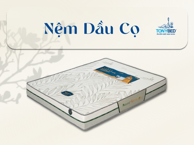 Nem dau co
