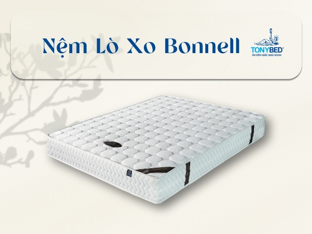 Nem lo xo Bonnell