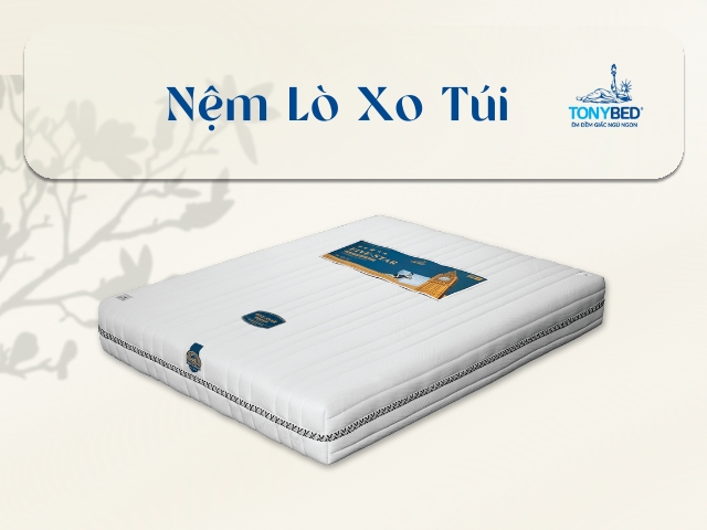 Nem lo xo tui