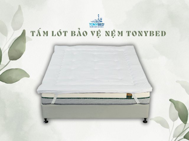 chon-tam-lot-bao-ve-nem-phu-hop
