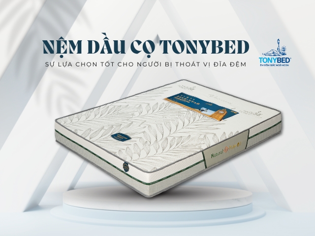 nệm dầu cọ có độ cứng vừa phải hỗ trợ tốt cho người bị thoát vị đĩa đệm