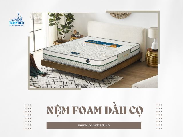 nệm foam hỗ trợ cột sống hoàn hảo