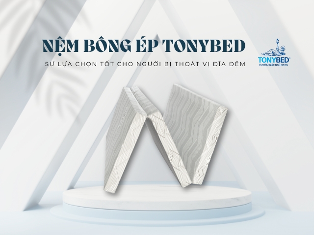 nệm gòn ép tonybed có độ cứng cao giúp giữ cho cột sống có đường cong tự nhiên khi nằm