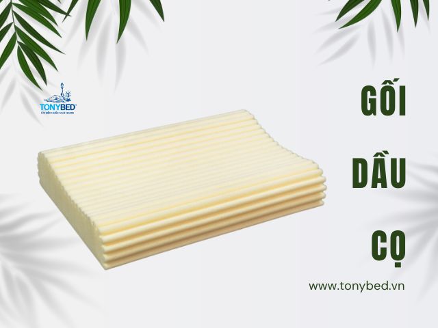 ruot goi cong thai hoc dau co tonybed