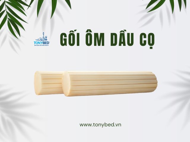 ruot goi om cong thai hoc dau co Tonybed