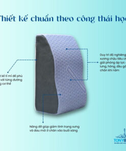 thiet-ke-goi-chong-suy-gian-tinh-mach-xanh-den