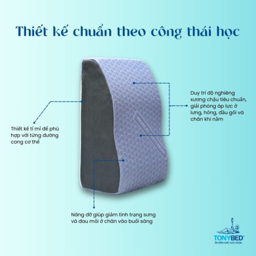 thiet-ke-goi-chong-suy-gian-tinh-mach-xanh-den
