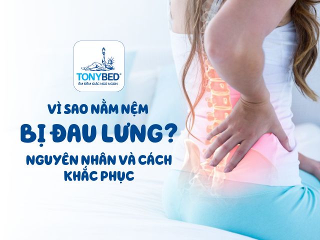 Nằm nệm bị đau lưng