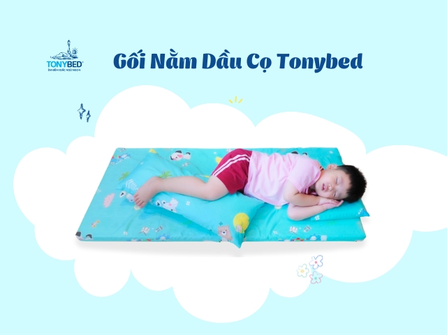 Gối nằm cho bé chát liệu dầu cọ thiên nhiên đang được ưa chuộng nhất hiện nay