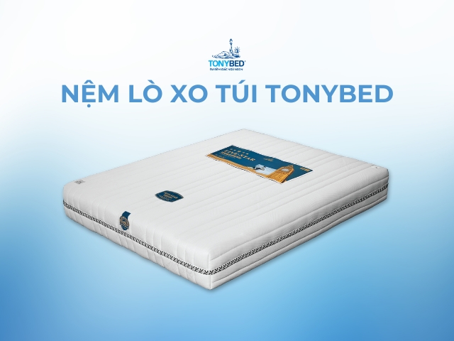 Nem lo xo tui Tonybed danh cho ba bau va tre nho