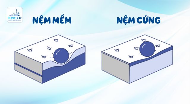 nem-cung-vs-nem-mem