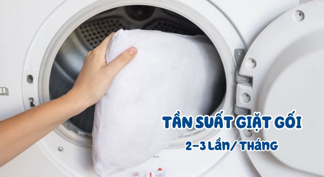 tan-suat-giat-goi