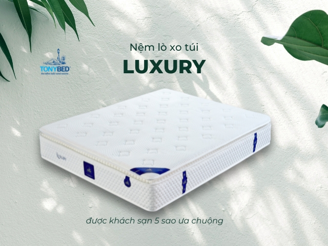 Nem lo xo tui Luxury